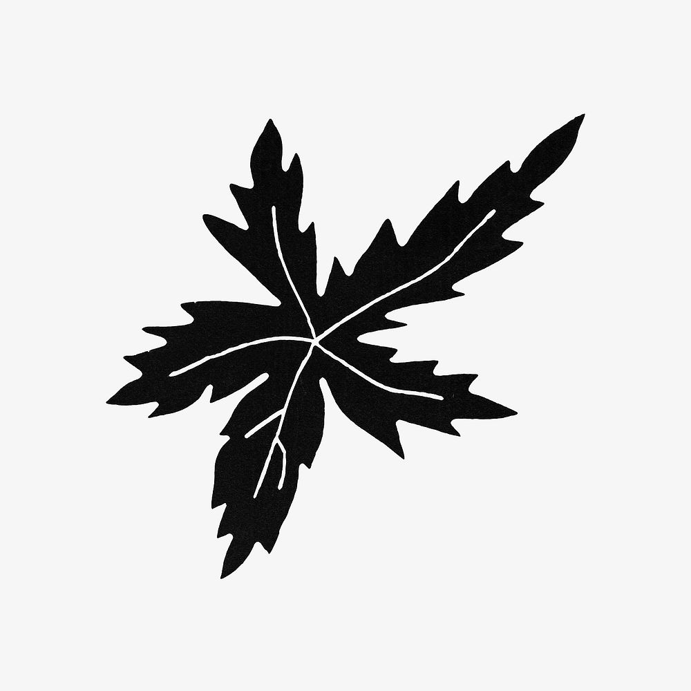 Black leaf, vintage botanical illustration.  Remixed by rawpixel. 