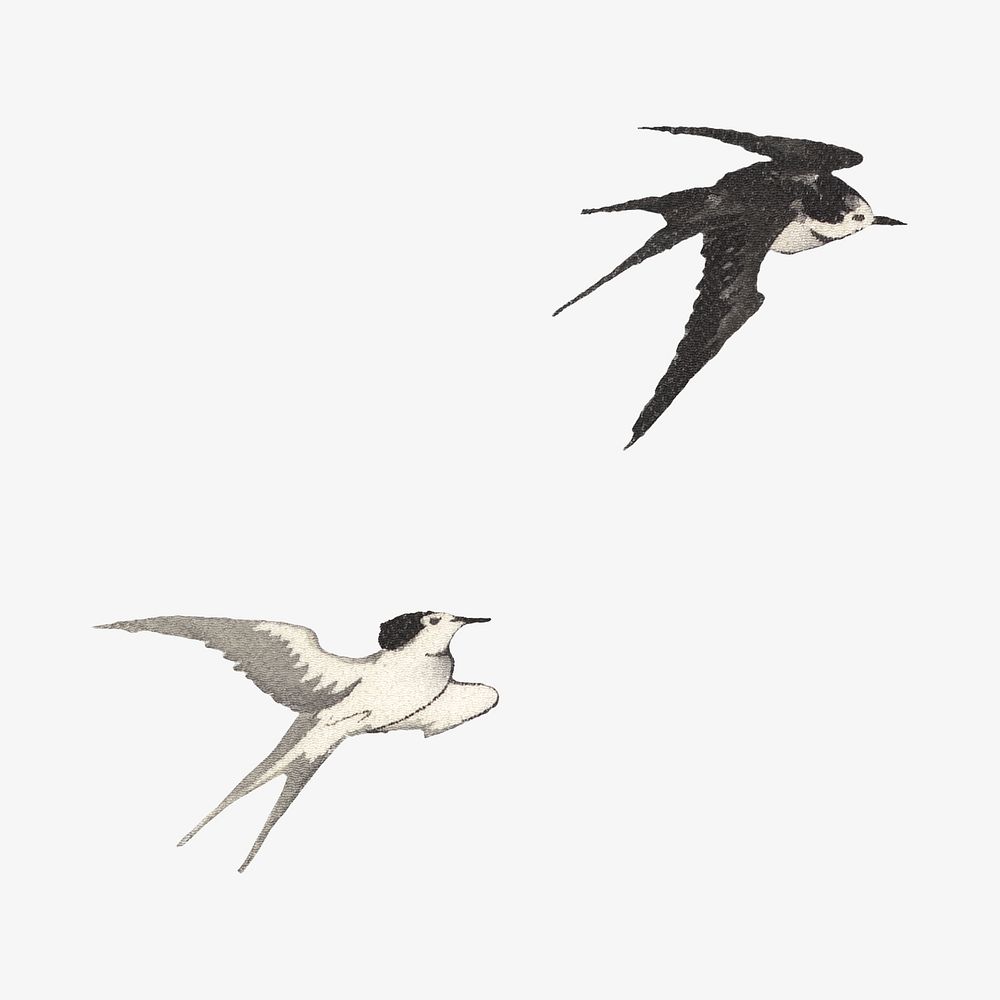 Flying swallow birds, vintage animal illustration by Nampei.  Remixed by rawpixel. 