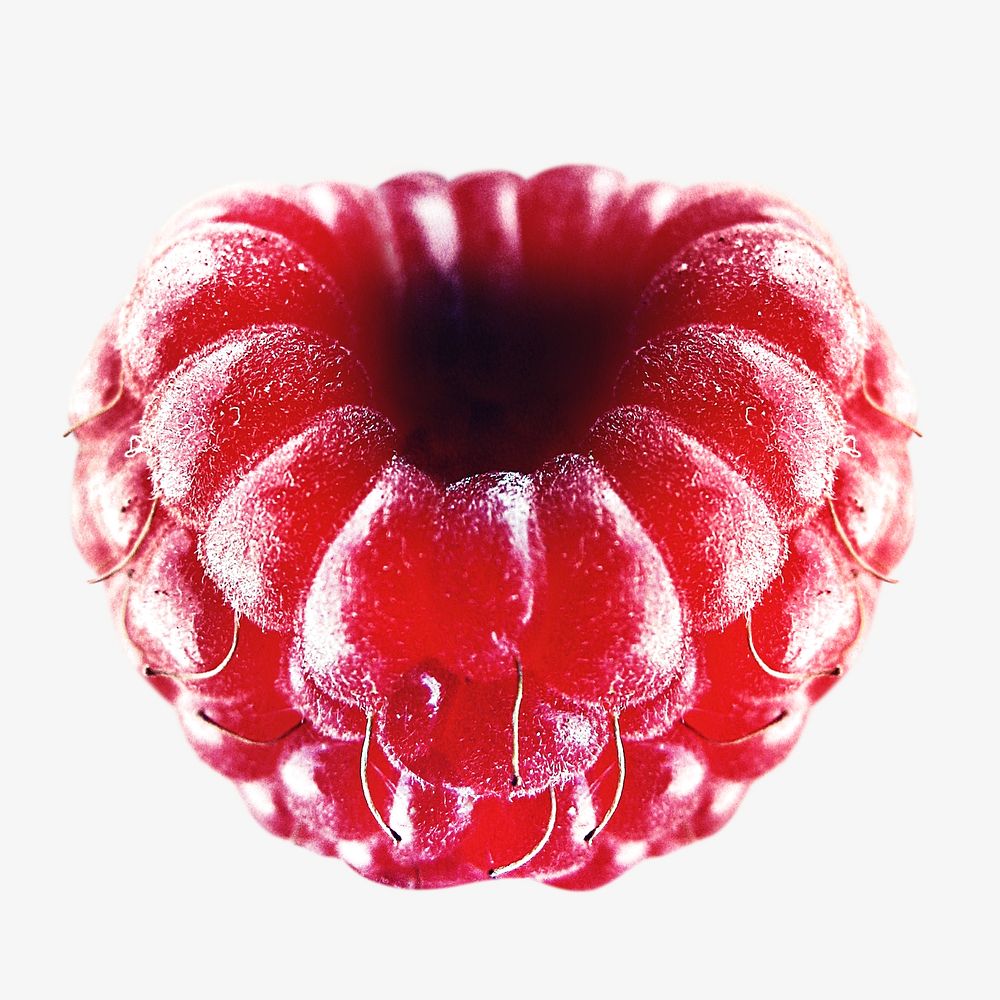 Fresh raspberries, isolated design on white