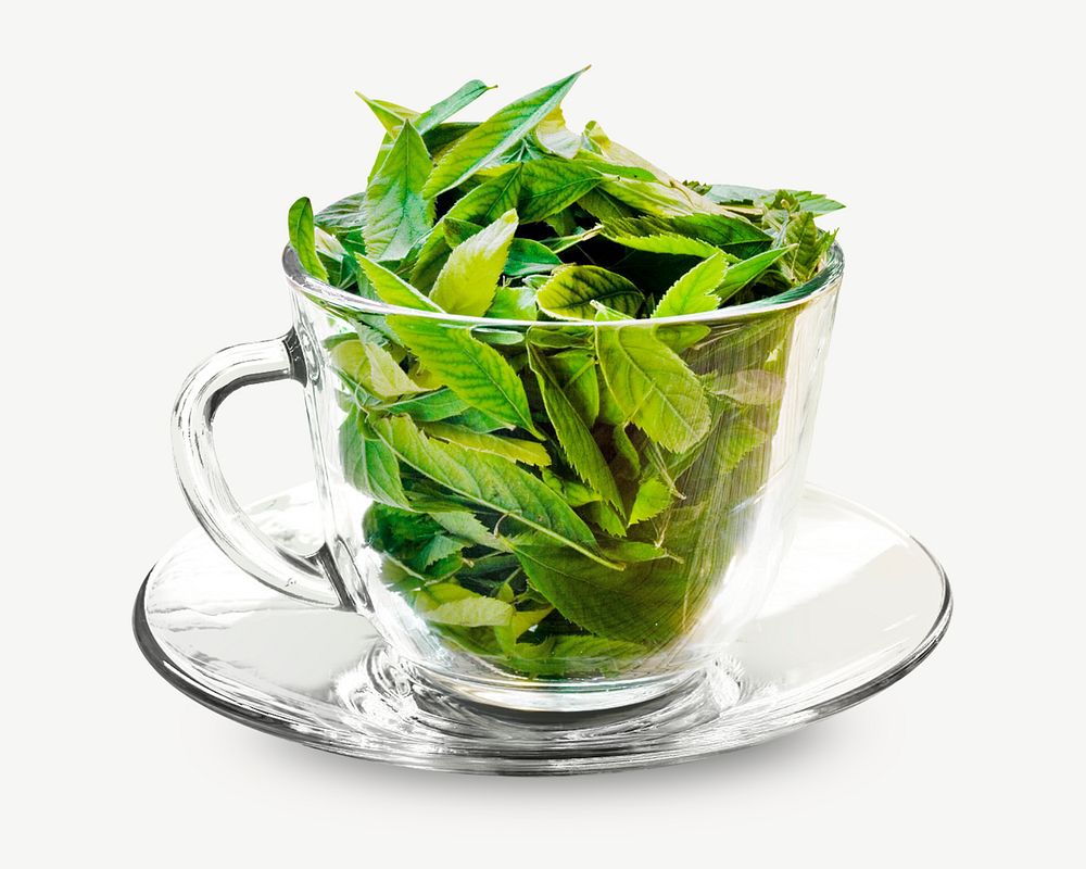 Green tea design element psd