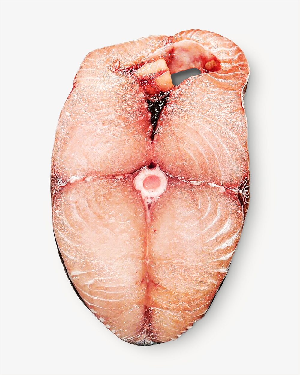 Fish steak, isolated image