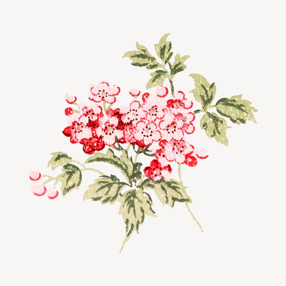Vintage cherry blossom watercolor psd