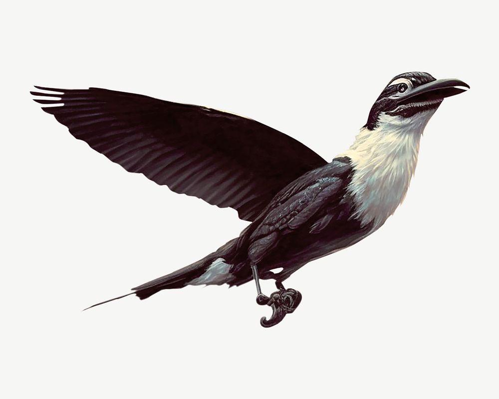 Black bird, wildlife illustration psd. Remixed by rawpixel.