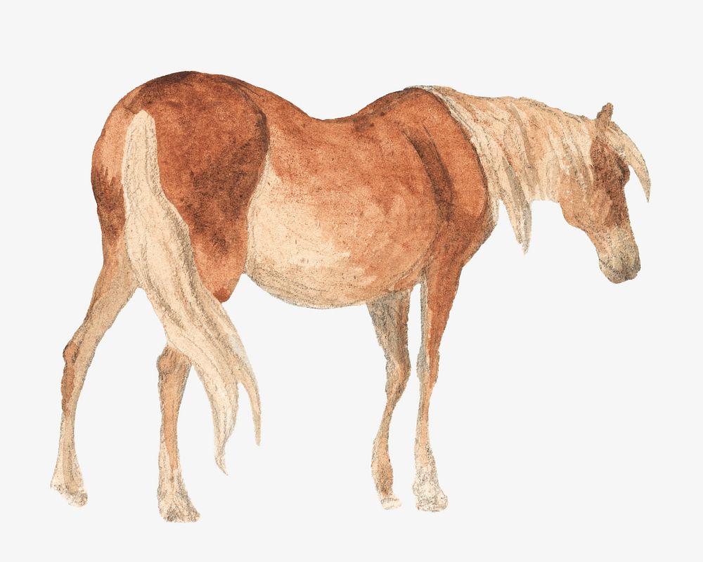 Brown horse, animal illustration. Remixed by rawpixel.