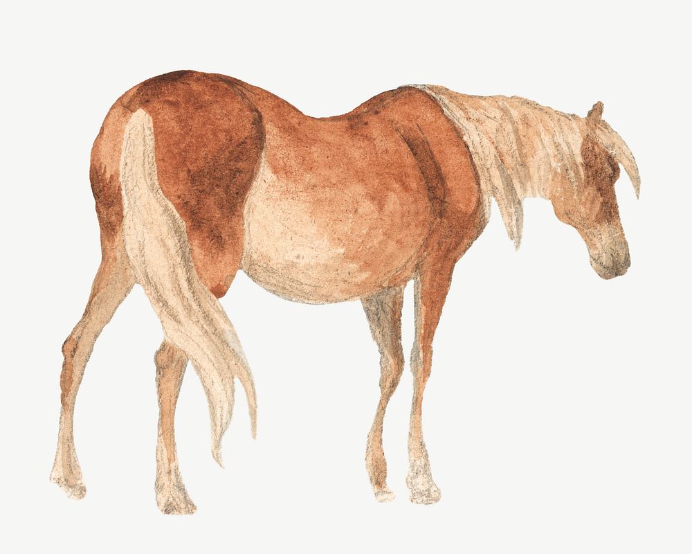 Brown horse, animal illustration psd. Remixed by rawpixel.