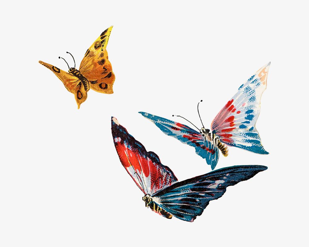 Colorful butterflies, animal illustration. Remixed by rawpixel.