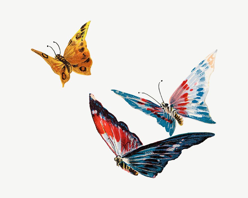 Colorful butterflies, animal illustration psd. Remixed by rawpixel.