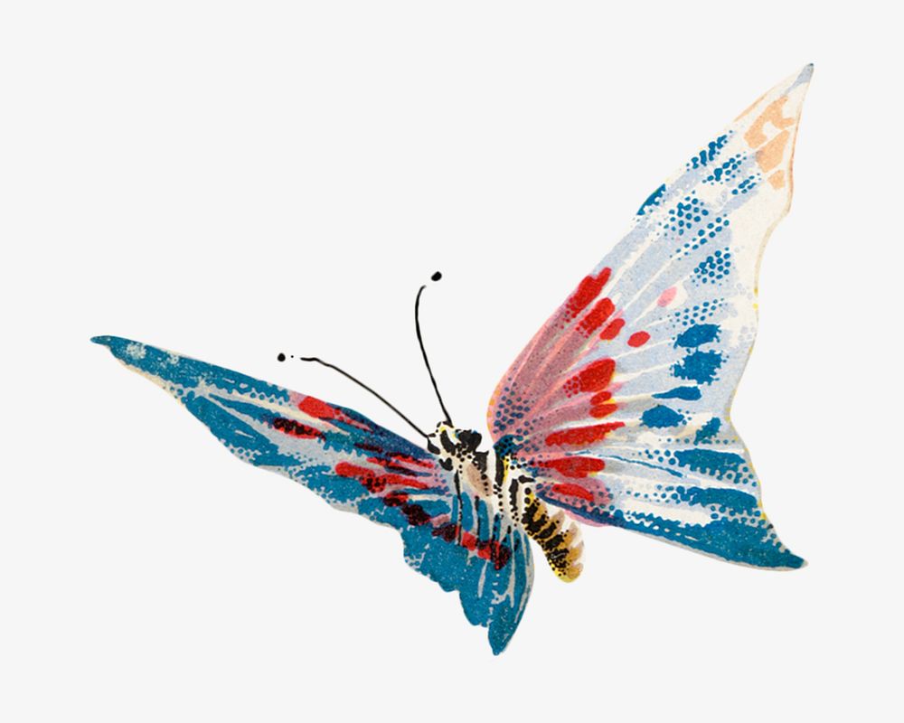 Colorful butterfly, animal illustration. Remixed by rawpixel.