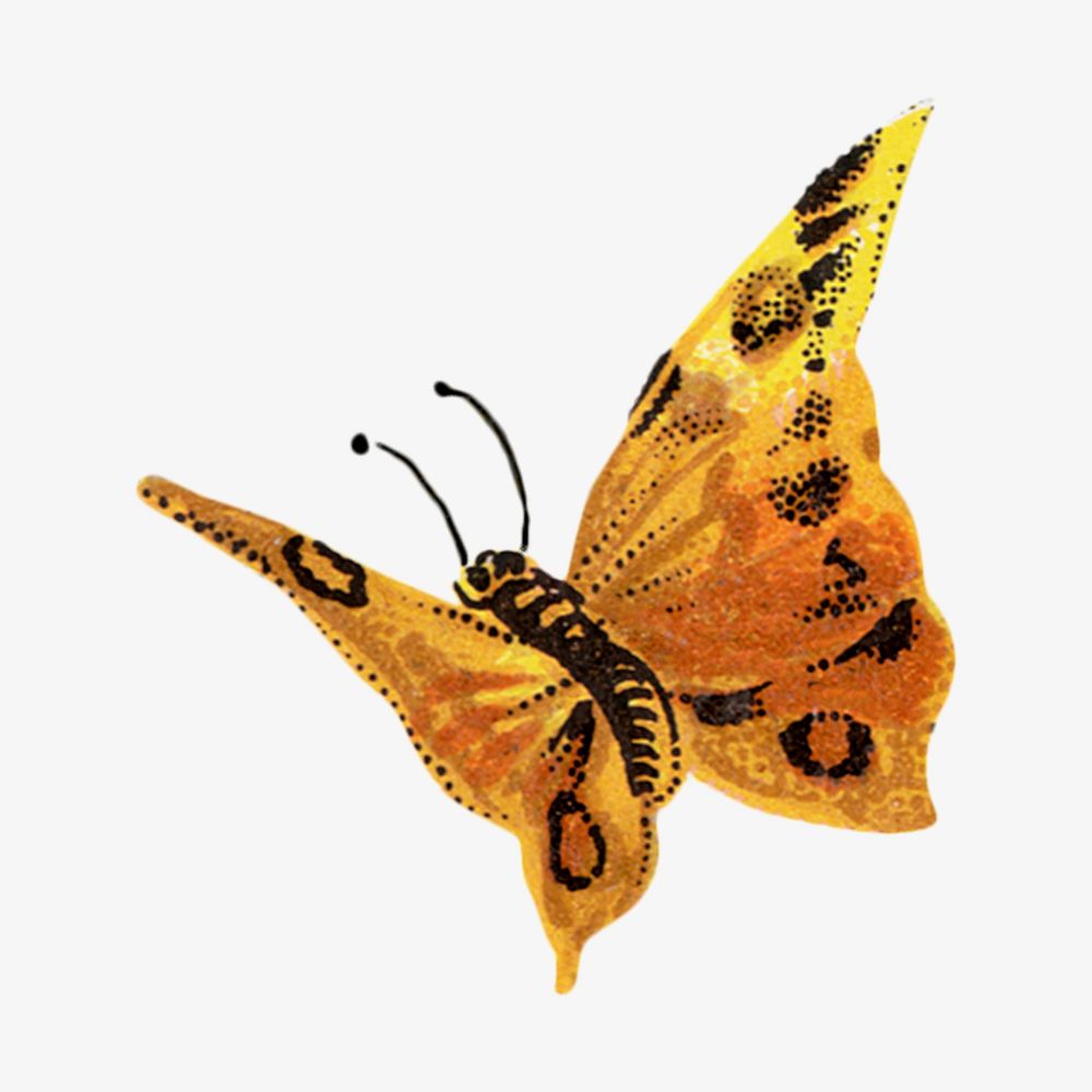 Yellow butterfly, animal illustration. Remixed by rawpixel.