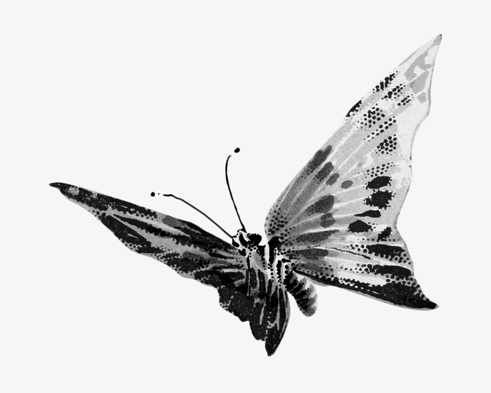 Butterfly monotone, animal illustration. Remixed by rawpixel.