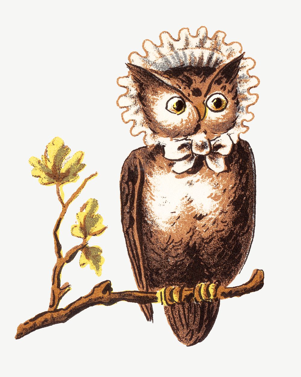 Vintage owl bird, animal illustration | Premium PSD Illustration - rawpixel