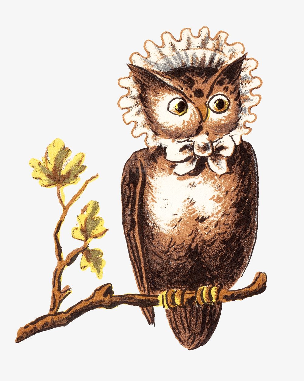 Vintage owl bird, animal illustration. Remixed by rawpixel.