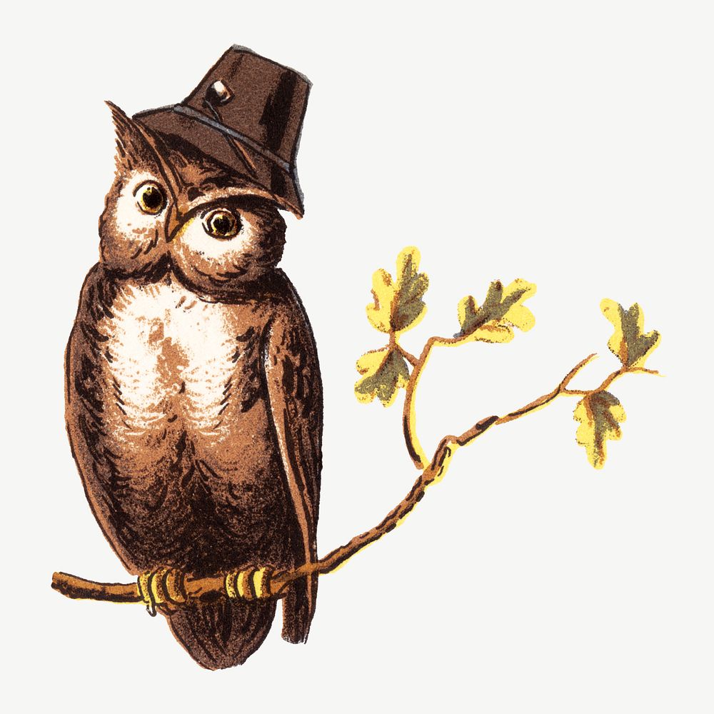 Vintage owl bird, animal illustration psd. Remixed by rawpixel.