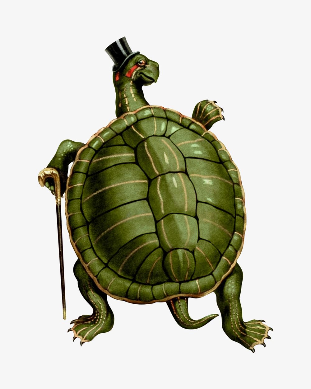 Turtle character vintage illustration. Remixed by rawpixel. 