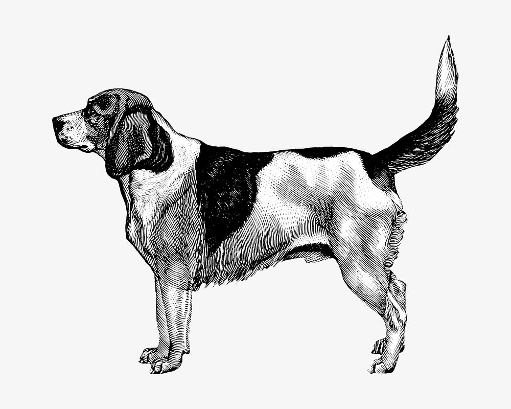 Artois Hound dog vintage illustration. Remixed by rawpixel. 