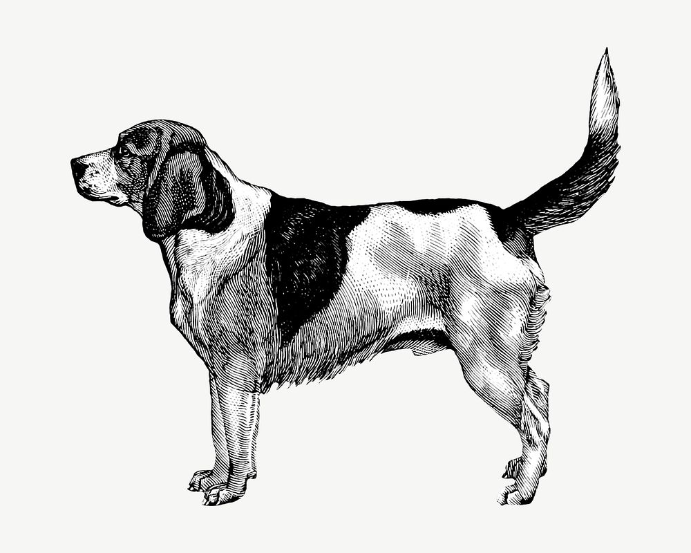 Artois Hound dog  collage element, vintage illustration psd. Remixed by rawpixel. 