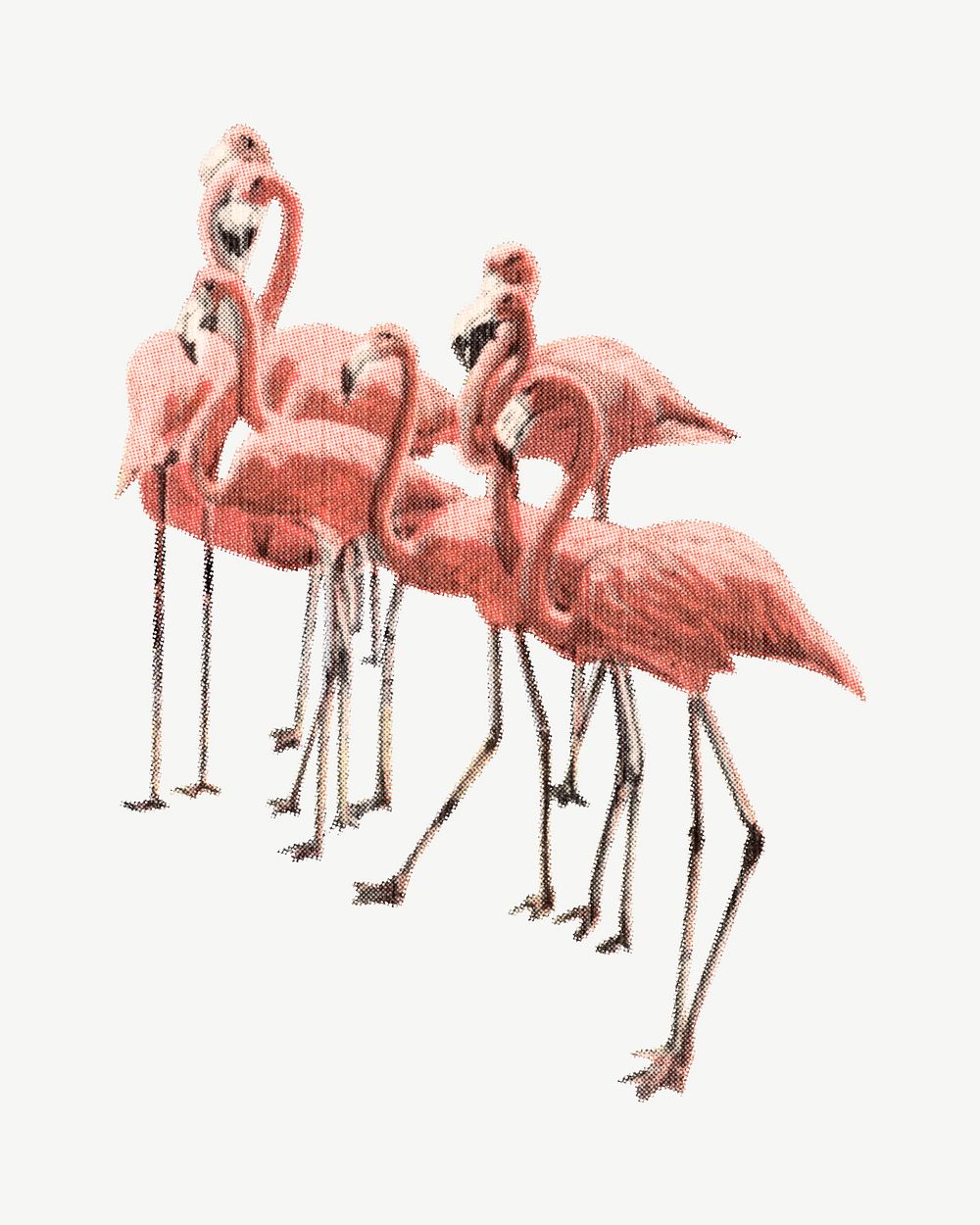 Flamingo birds  collage element, vintage illustration psd. Remixed by rawpixel. 