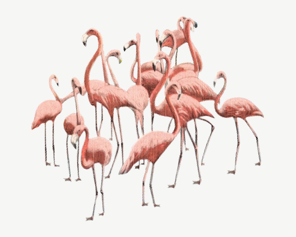 Flamingo birds  collage element, vintage illustration psd. Remixed by rawpixel. 