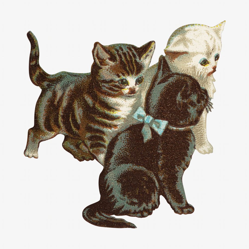 Little kittens, vintage pet animal illustration. Remixed by rawpixel.