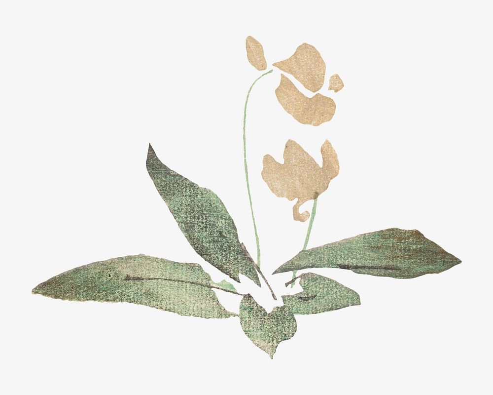 Flower, Japanese botanical illustration by Teisai Hokuba. Remixed by rawpixel.