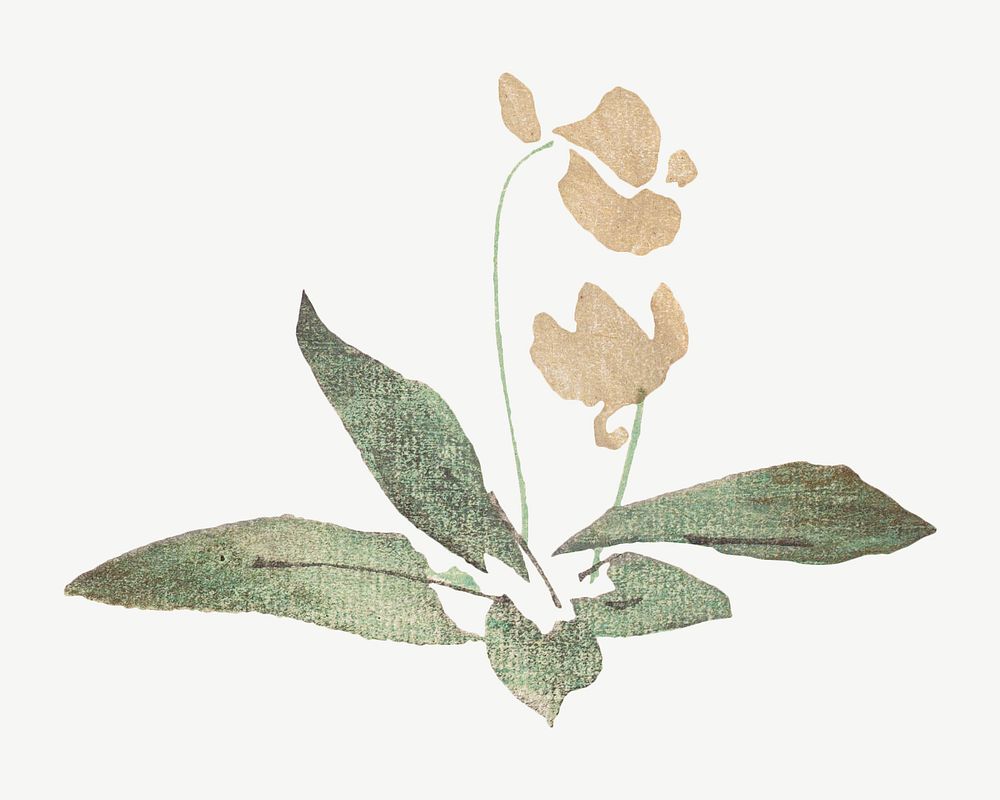 Flower, Japanese botanical illustration by Teisai Hokuba psd. Remixed by rawpixel.