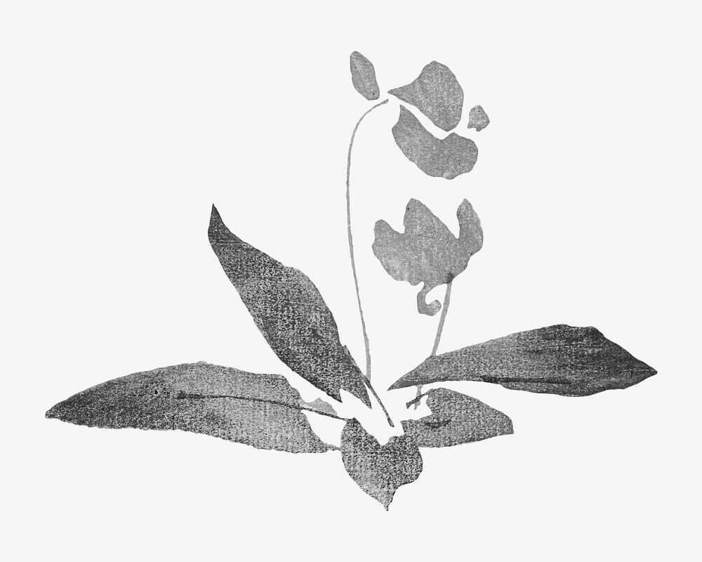 Flower, Japanese botanical illustration by Teisai Hokuba psd. Remixed by rawpixel.