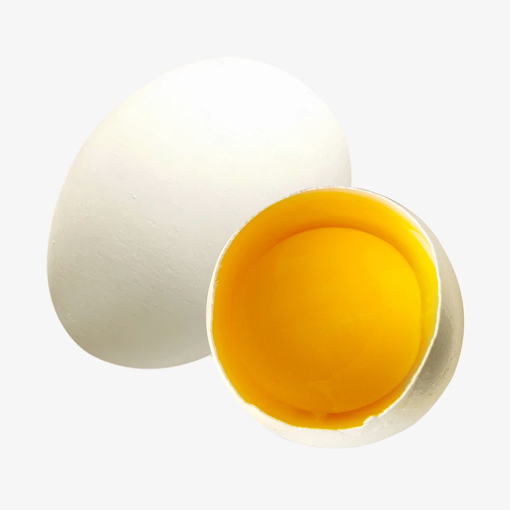 Egg isolated image on white