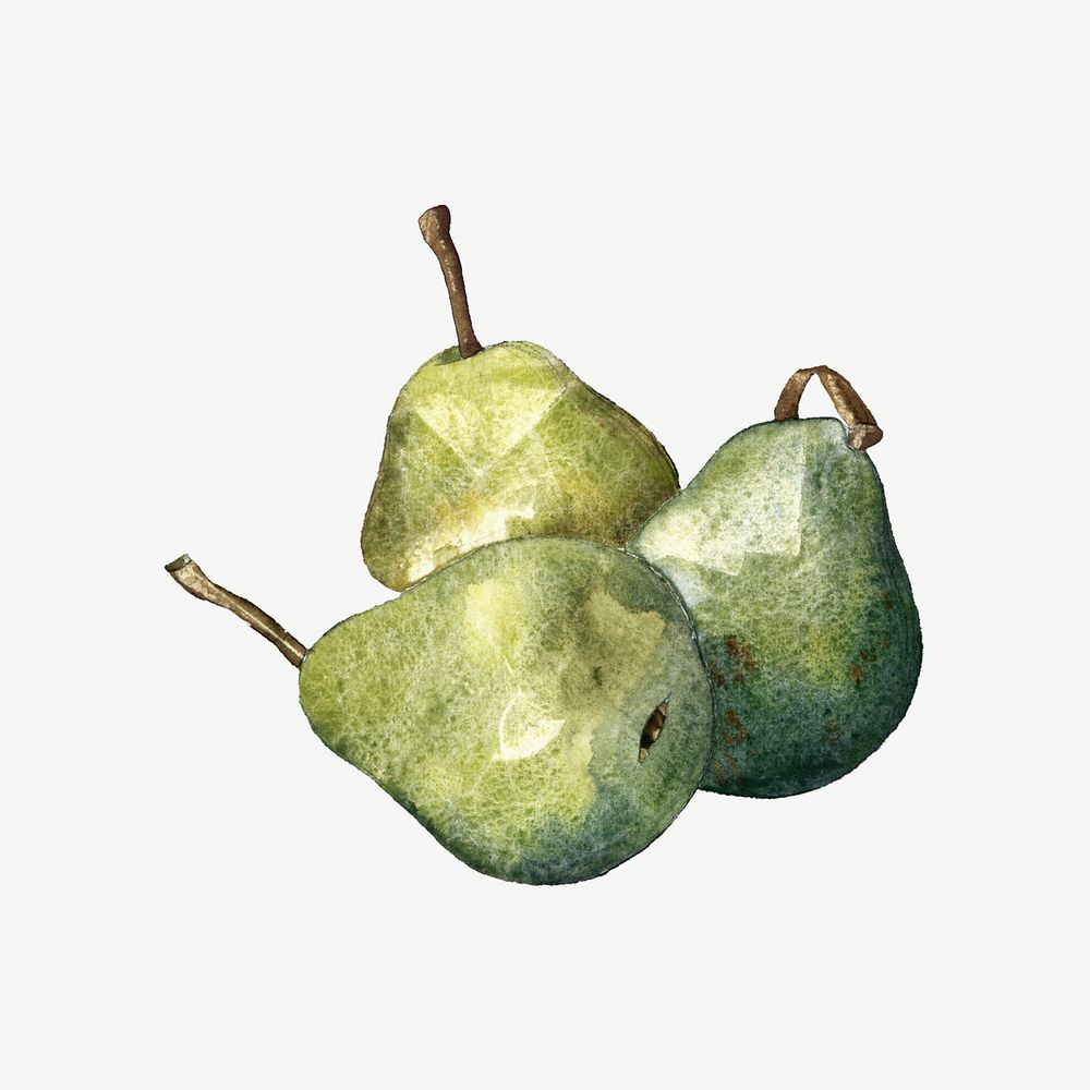 Watercolor green pear collage element psd. Remixed by rawpixel.