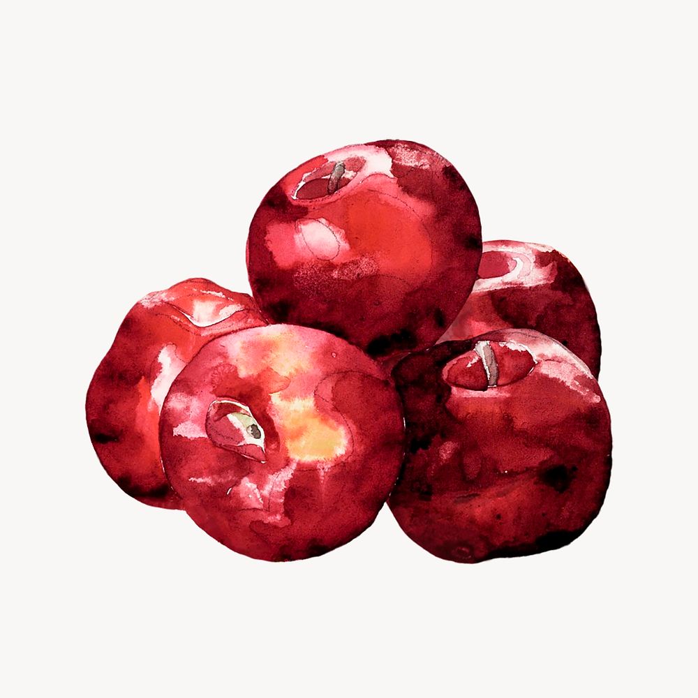 Watercolor red apples  collage element. Remixed by rawpixel.