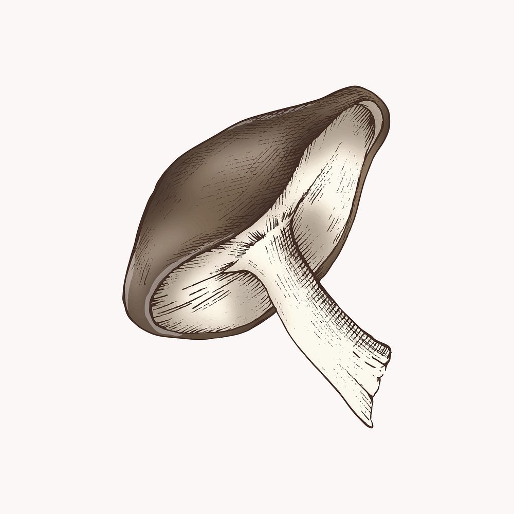 Brown mushroom illustration vector