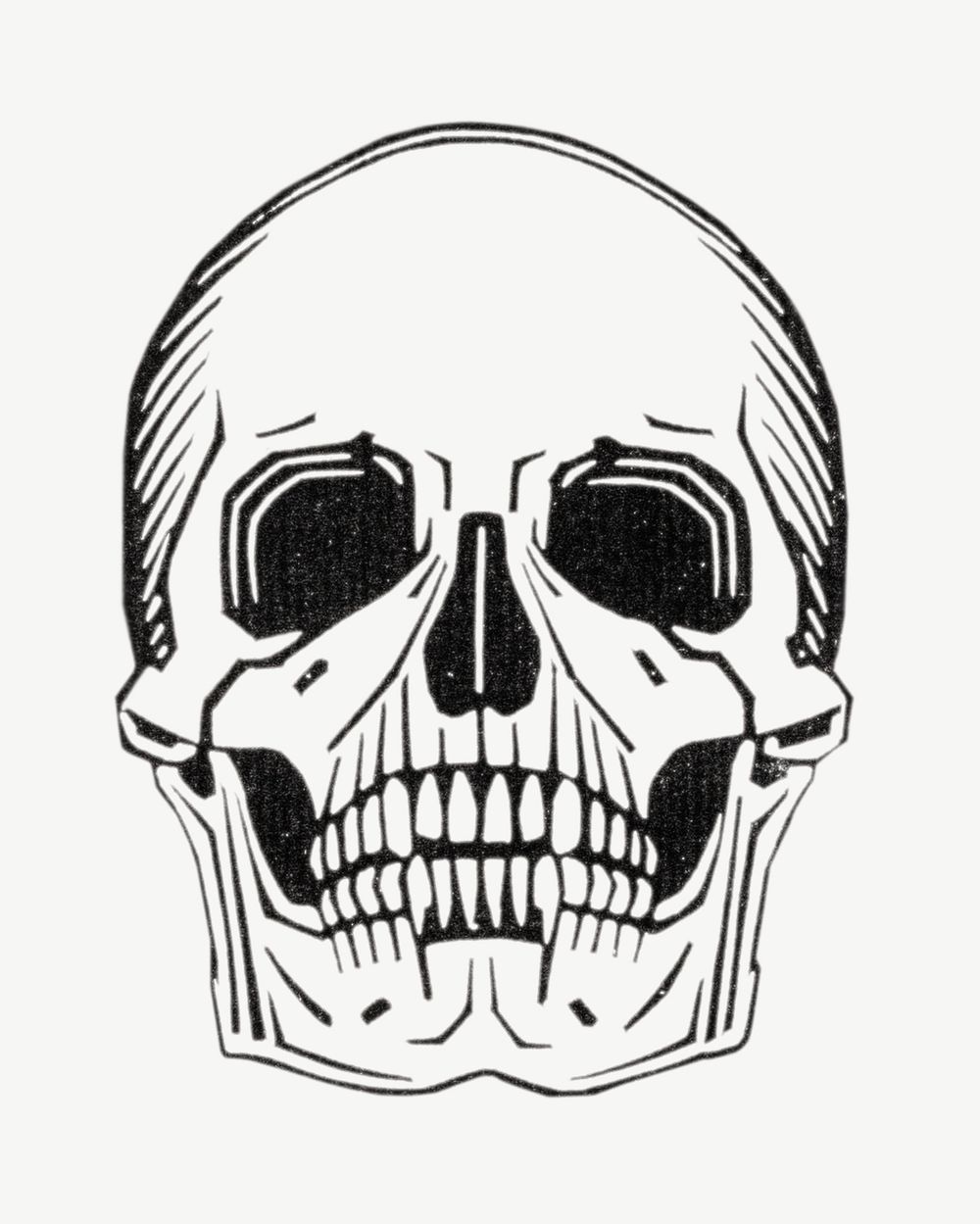 Skull line art psd