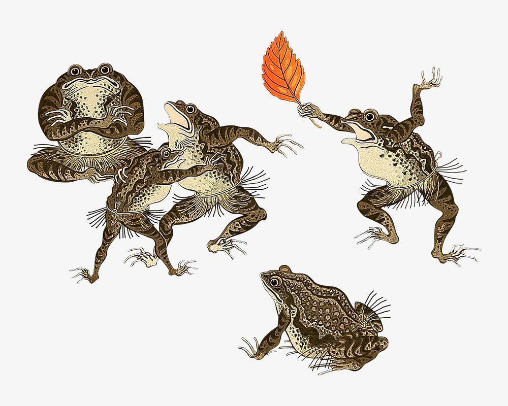Frog woodblock print collage element. Remixed by rawpixel. 