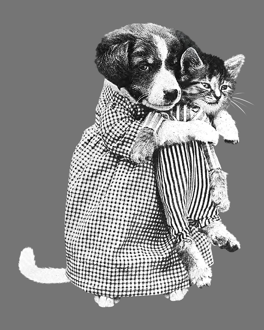 Dog hugging cat vintage illustration psd. Remixed by rawpixel. 