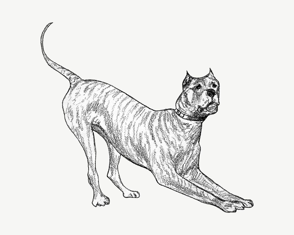 Dog chromolithograph collage element psd. Remixed by rawpixel.