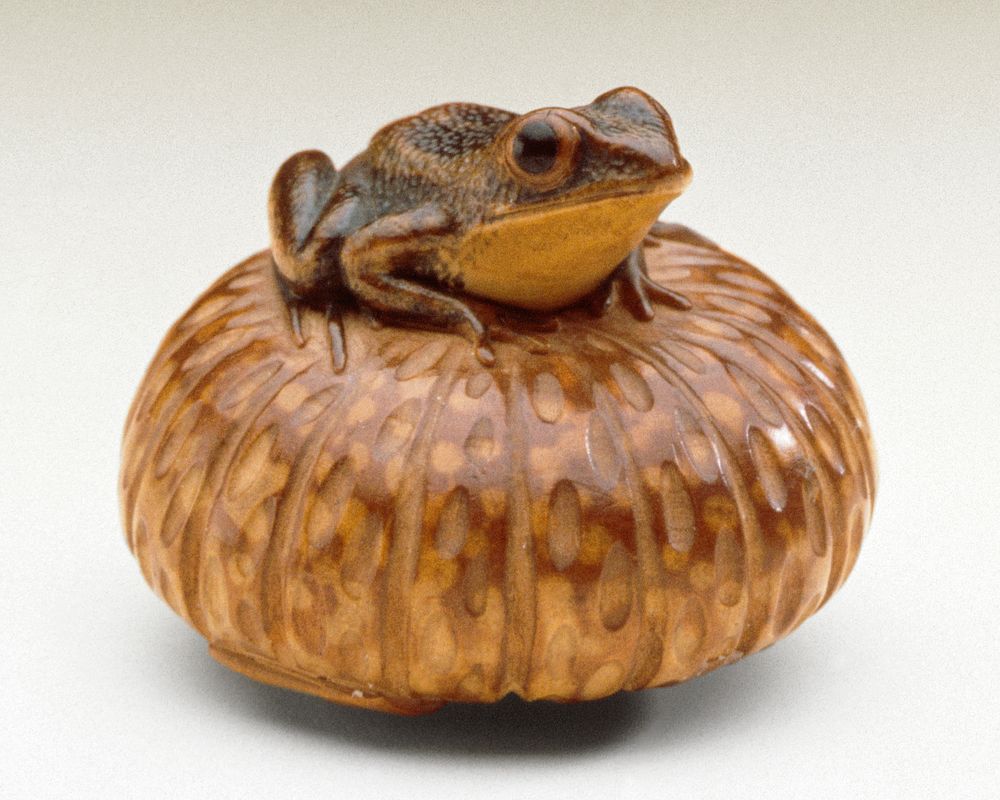 Frog on Pumpkin by Nobumasa