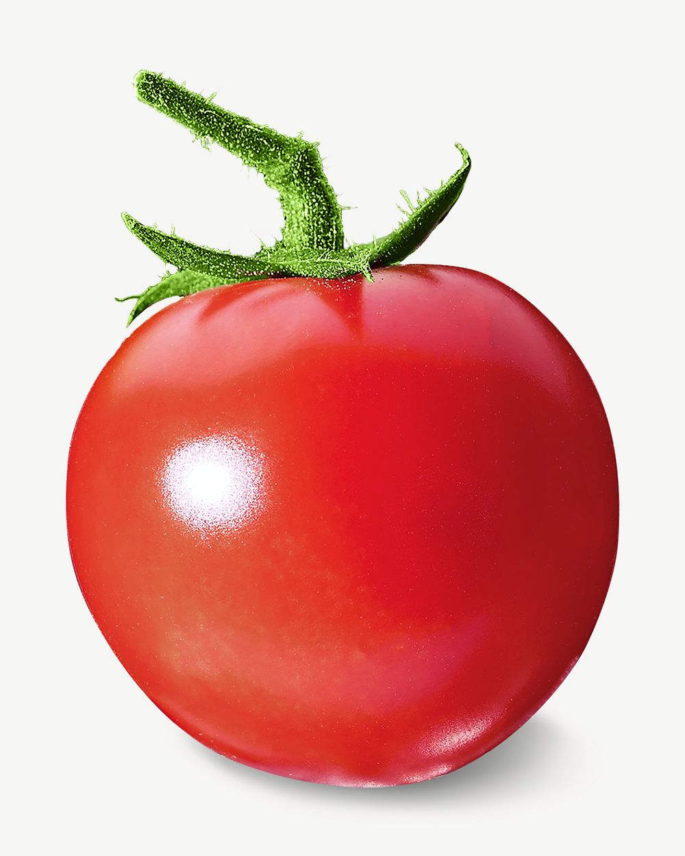 Fresh tomato design element psd