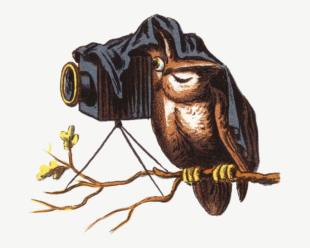 Owl with camera, vintage animal bird illustration psd. Remixed by rawpixel.