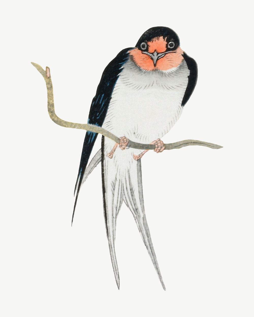 Ohara Koson's swallow, Japanese bird illustration psd. Remixed by rawpixel.