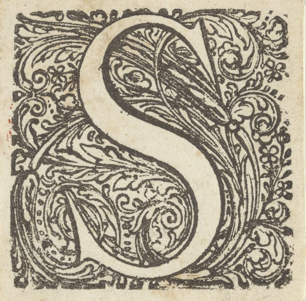 Letter S in een geornamenteerde omlijsting (1600 - 1699) by anonymous and Dirck de Bray