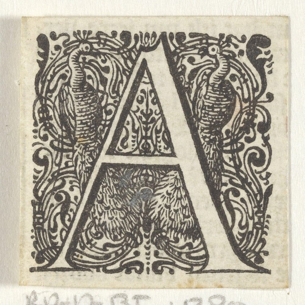 Letter A in een omlijsting met twee pauwen (1600 - 1699) by anonymous and Dirck de Bray