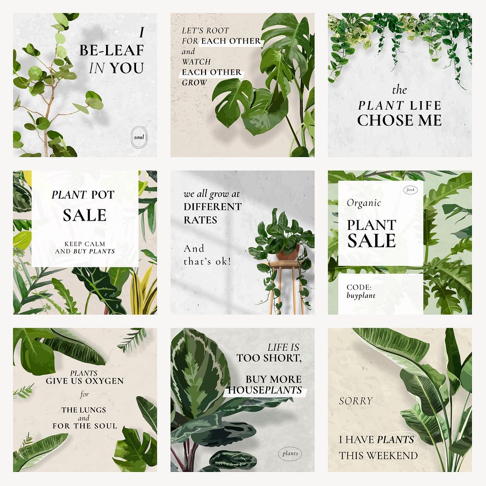 Social media template psd set, plant sale advertisement