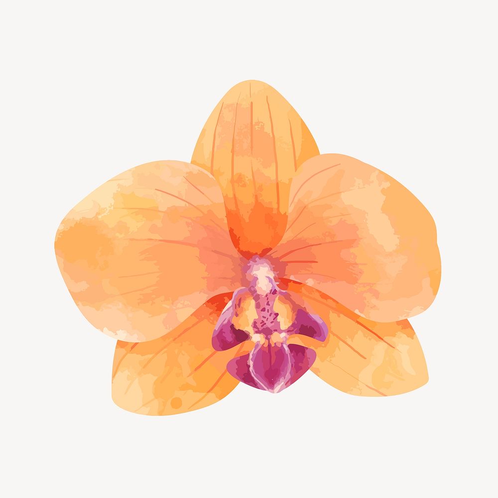 Orange flower sticker, watercolor & floral illustration vector