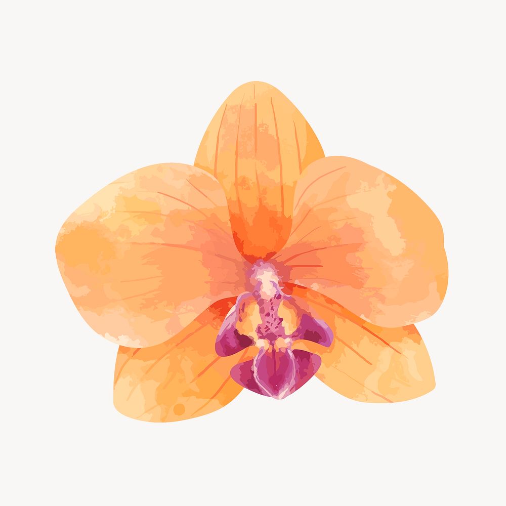 Orange flower clip art, botanical & floral graphic