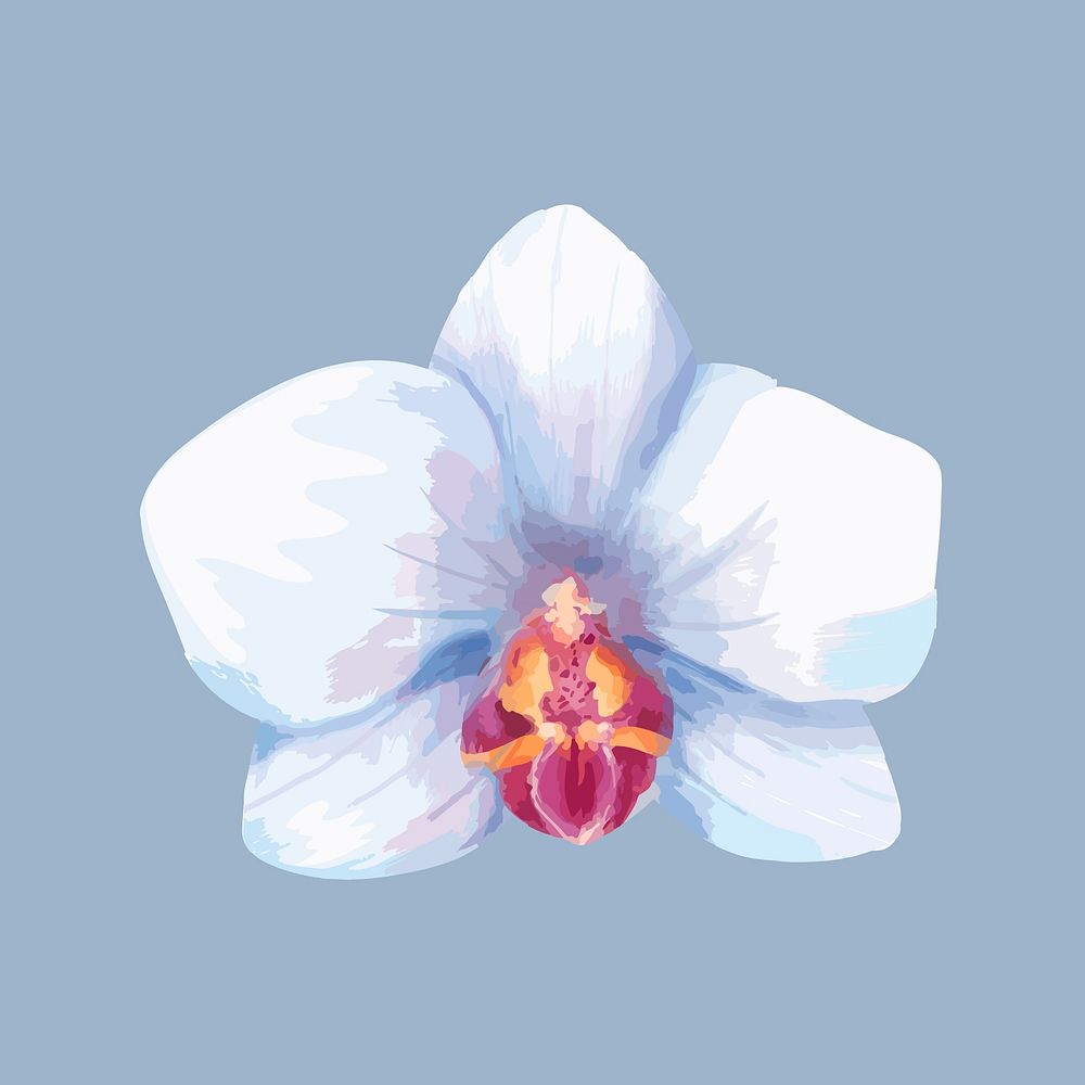White flower sticker, watercolor & floral illustration vector