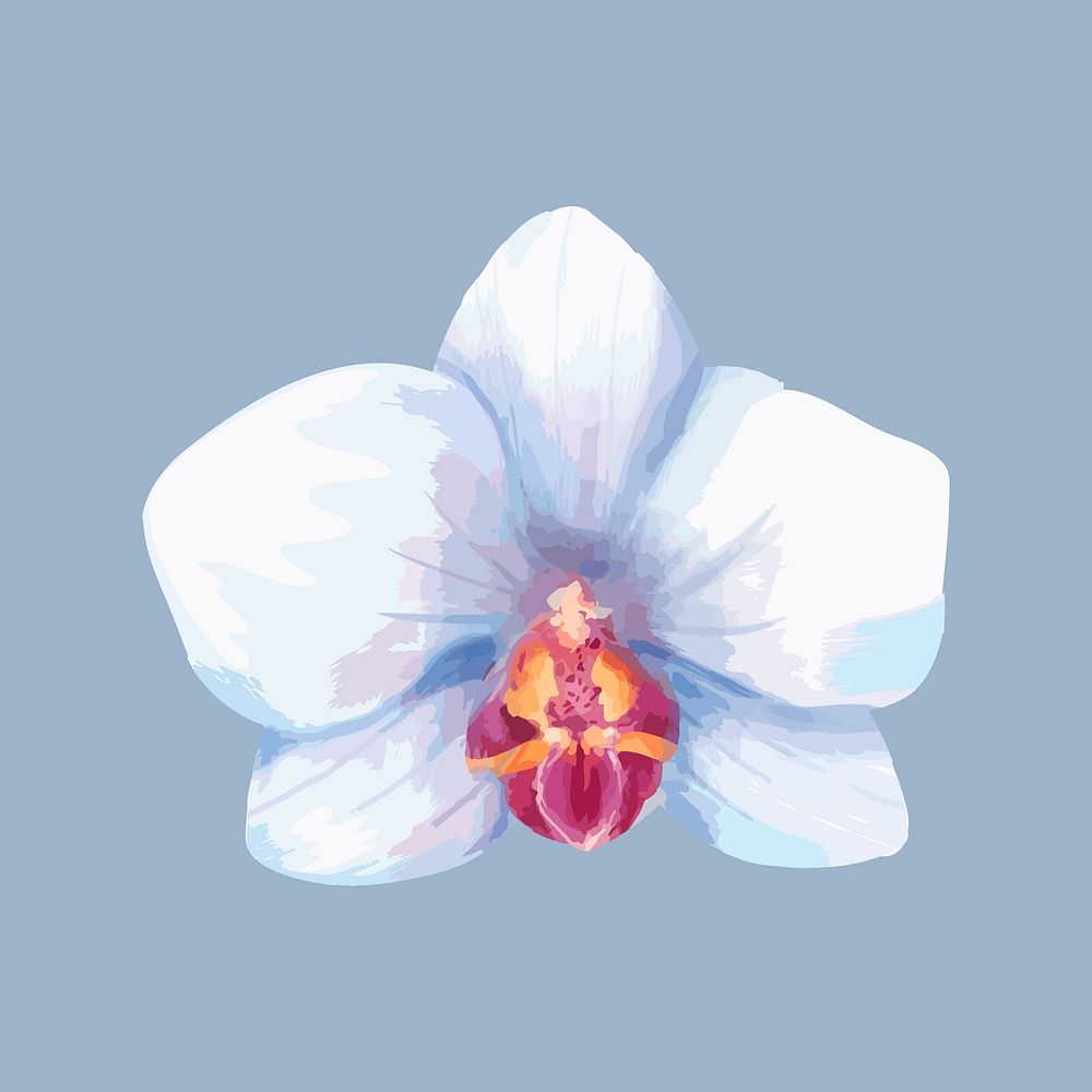 White flower clip art, botanical & floral graphic