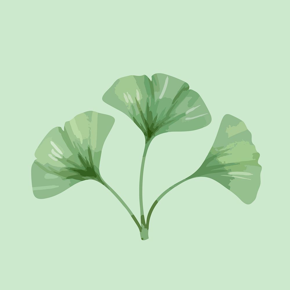 Ginkgo leaf sticker, watercolor green graphic vector