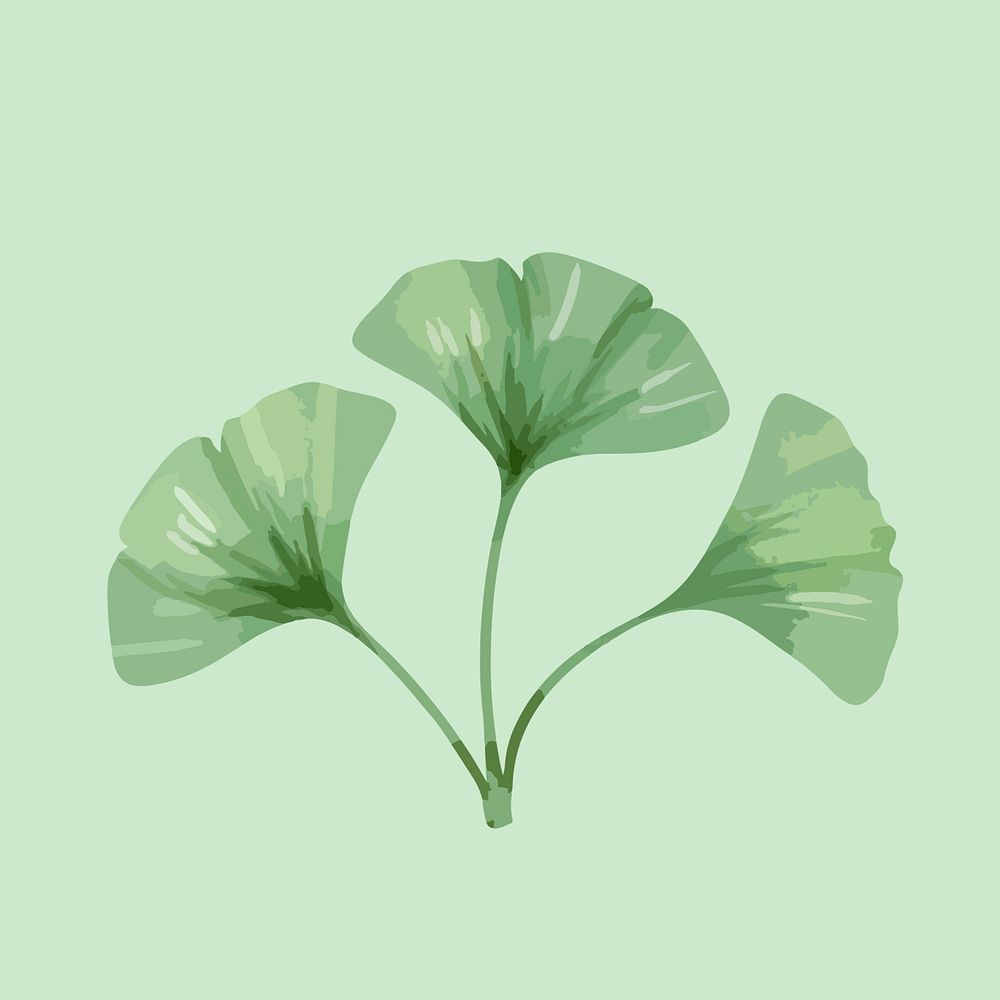 Ginkgo leaf sticker, watercolor green graphic psd