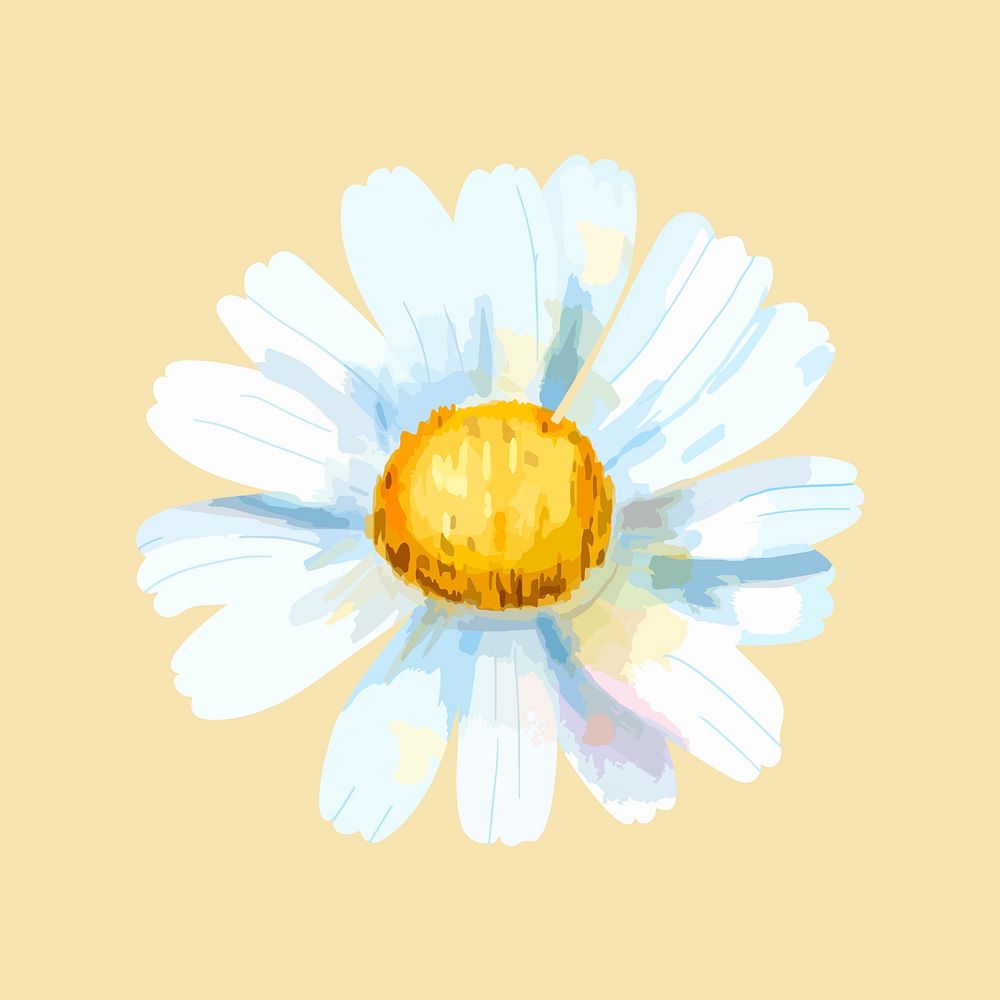 Daisy flower sticker, watercolor & floral illustration psd