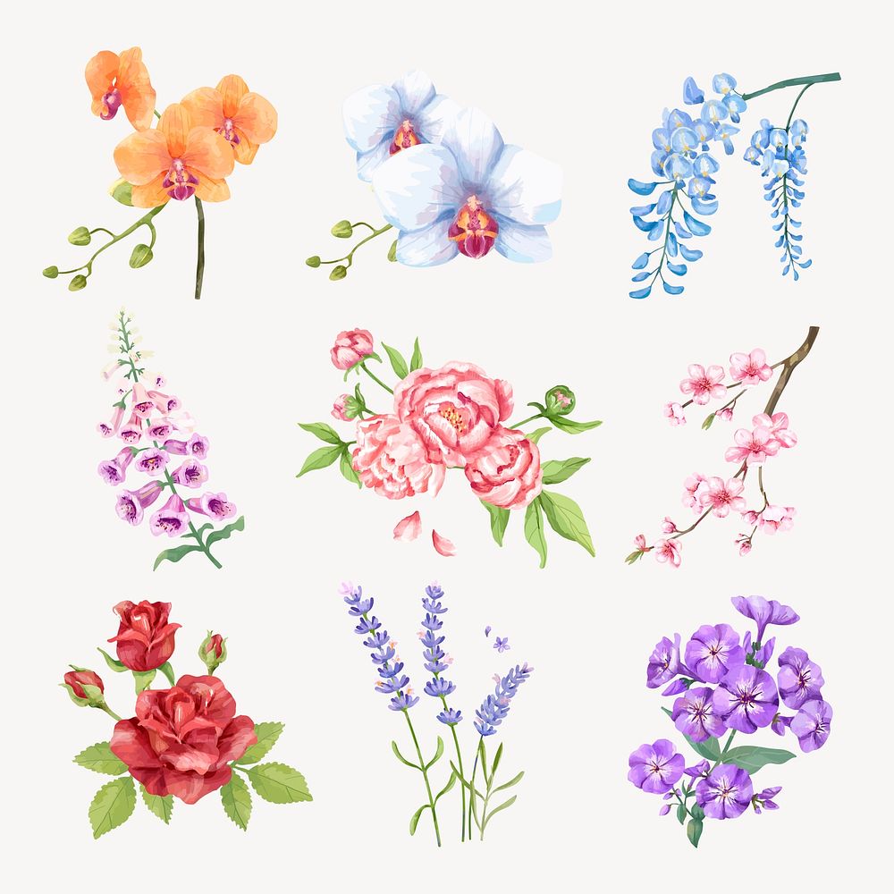 Watercolor flower sticker, beautiful graphic psd set