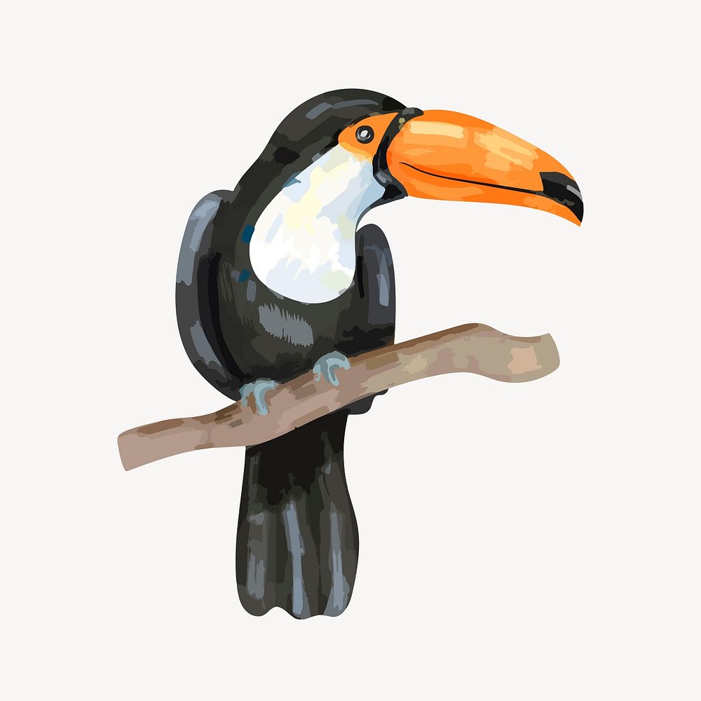 Toucan sticker, watercolor bird illustration vector